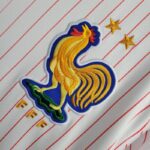 Camiseta Francia 2025 escudo