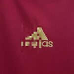 camiseta españa 2008 logo