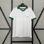 Camiseta palmeiras 2025