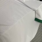 Camiseta palmeiras 2025 lateral