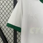 Camiseta palmeiras 2025 manga