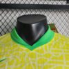 camiseta brasil copa america 2024 cuello
