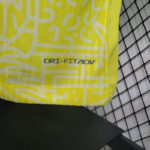 camiseta brasil copa america 2024 logo drifit