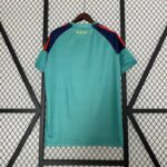 camiseta españa 2010 dorsal