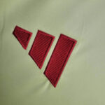 segunda camiseta españa euro 2024 logo