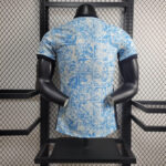 segunda camiseta portugal euro espalda