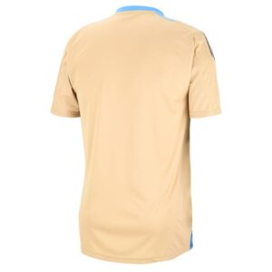 camiseta argentina entreno beige espalda