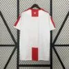 Alternative view of Camiseta Georgia Eurocopa 2024/2025