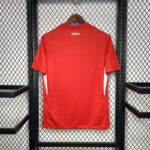 CAMISETA TURQUIA SEGUNDA EQUIPACION FAN 24 25 DORSAL