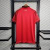 Camiseta Eurocopa Albania 2024 primera equipación dorsal