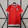 Camiseta Eurocopa Dinamarca 2024 primra equipación comprar