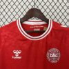 Camiseta Eurocopa Dinamarca 2024 primra equipación pecho