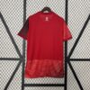 Camiseta Eurocopa Polonia 2024 segunda equipación dorsal