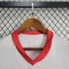 Camiseta Polonia Eurocopa primera equipación cuello