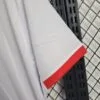 Camiseta Polonia Eurocopa primera equipación manga