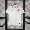 Camiseta eurocopa dinamarca 2024 segunda equipación compra