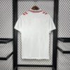 Camiseta eurocopa dinamarca 2024 segunda equipación dorsal
