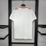 Camiseta eurocopa dinamarca 2024 segunda equipación dorsal