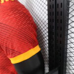 Camiseta ASR Roma Version Player Puño