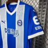 Camiseta-deportivo-alaves-primera-equipacion-2024-2025-puño-izquierdo