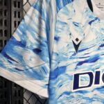 Camiseta edición especial 2024 manga