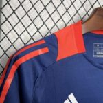 Camiseta entrenamiento Manchester United 2024-2025 franjas