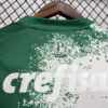 Camiseta-palmeiras-Seria-A-(brasil)-edicion-especial-2024-2025-dorsal-trasero