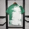Camiseta-palmeiras-Seria-A-(brasil)-edicion-especial-2024-2025-parte-trasera