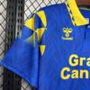 Camiseta-segunda-equipacion-palmas-2024-2025-puño-derecho