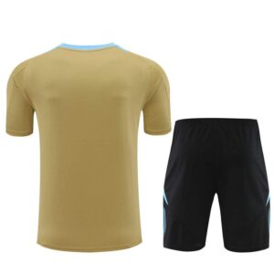 Conjunto de entrenamiento Argentina 2024-2025 Beige Dorsal