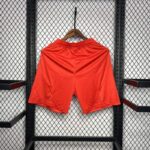 Pantalon corto bayern munich dorso 2024