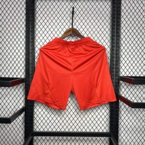 Pantalon corto bayern munich dorso 2024