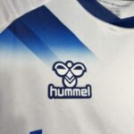 Tenerige hummel 2024