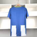 camiseta Brighton & hove albion dorso