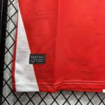 Camiseta-feyenoord-primera-equipacion-2024-2025-castore