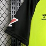 Camiseta-real-betis-segunda-equipacion-2024-2025-puño-derecho