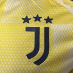 Camiseta-segunda-equipacion-juventus-version-jugador-2024-2025-escudo