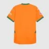 Camiseta-valencia-tercera-equipacion-2024-2025-parte-trasera