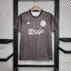 camiseta-de-entrenamiento-ajax-pre-match-2024-2025
