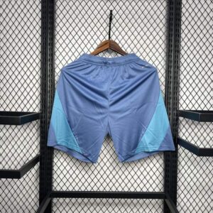 pantalon-corto-ajax-segunda-equipacion-2024-2025-escudo-parte-trasera