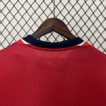 Camiseta-noruega-primera-equipacion-2024-2025-dorsal-trasero