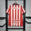 camiseta-chivas-primera-equipacion-2024-2025-parte-trasera