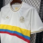 camiseta-colombia-edicion-especial-100-centenario-2024-2025-pecho