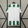Alternative view of Camiseta Córdoba CF Primera Equipacion 2024-2025