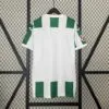 Alternative view of Camiseta Córdoba CF Primera Equipacion 2024-2025