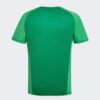 Camiseta-argentina-aniversario-estilo-retro-50-años-2024-2025-parte-trasera