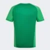 Camiseta-argentina-aniversario-estilo-retro-50-años-2024-2025-parte-trasera