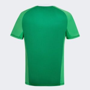 Camiseta-argentina-aniversario-estilo-retro-50-años-2024-2025-parte-trasera