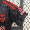 Conjunto Niño Benfica Segunda Equipacion 2024-2025 puño