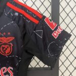 Conjunto Niño Benfica Segunda Equipacion 2024-2025 puño